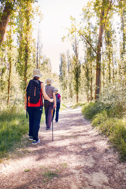 三个徒步旅行者正在穿越山林图片下载