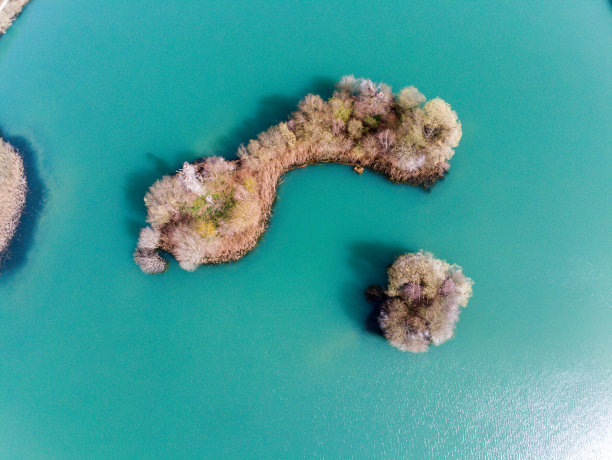 鹳鸟的栖息地图片下载