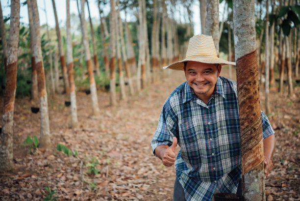 橡胶树种植园中的农民农艺师图片下载