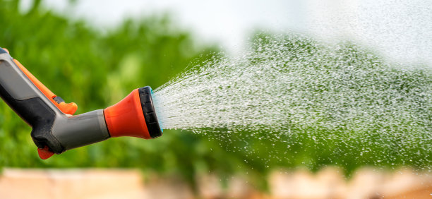 温室花园浇水植物图片下载