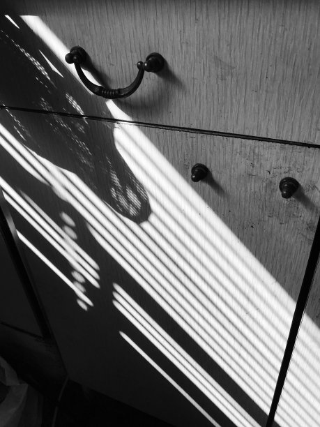 阴影的游戏图片下载