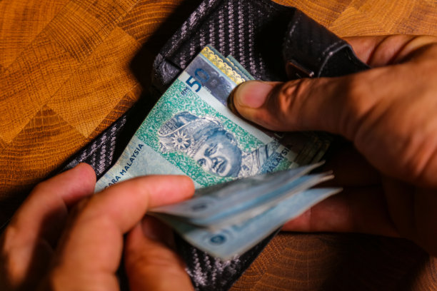 50马来西亚林吉特特写图片下载