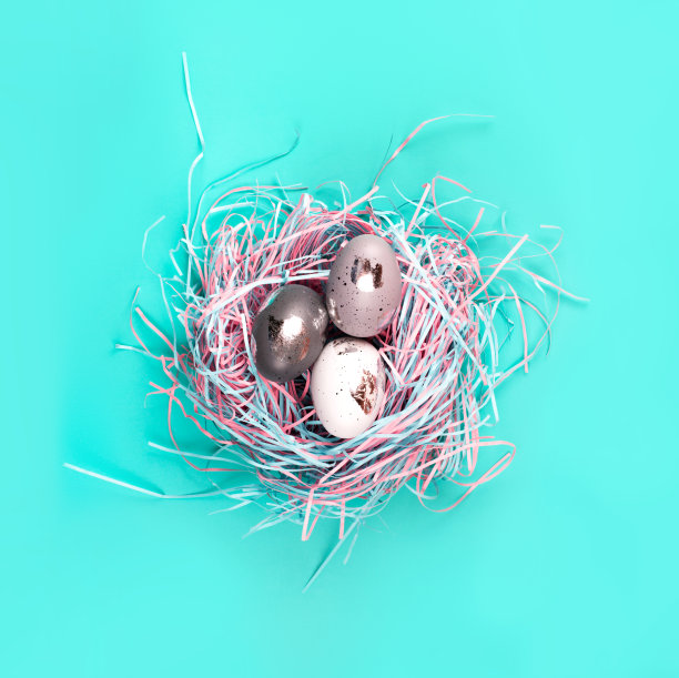 装饰鸟巢与创造性的银蛋在蓝色柔和的背景。图片下载