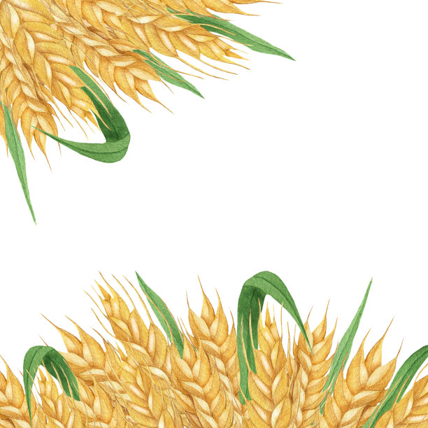 背景wheat.jpg图片下载