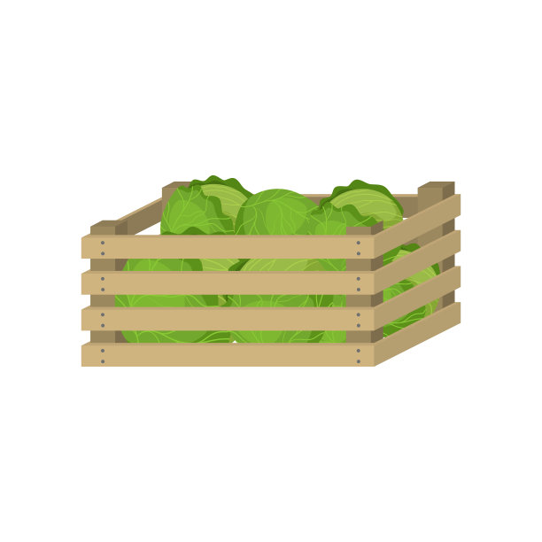 用于家庭储存的农场大白菜的木箱图片下载