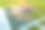 幼儿园游戏庭院新壁龛鸟瞰图，红色瓦屋顶供儿童户外活动。图片下载