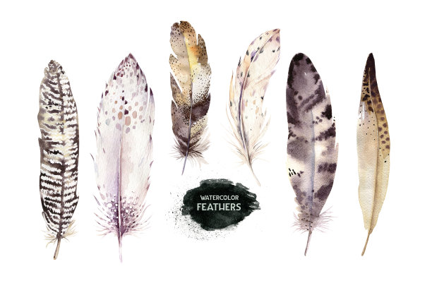 手绘水彩画充满活力的羽毛集。放荡不羁的风格的翅膀。插图孤立在白色。鸟飞t恤设计，请帖，婚礼卡片。乡村明亮的颜色。图片下载