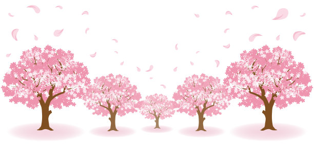 樱花树和落花图片下载