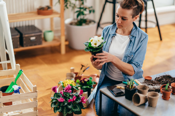 女人手里拿着一个花盆，里面放着春天的花。图片下载