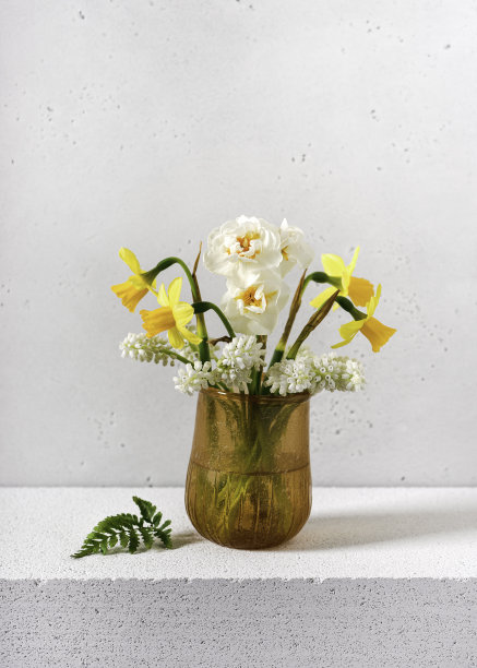 美丽的春天花束与白葡萄麝香和水仙花在玻璃花瓶。图片下载