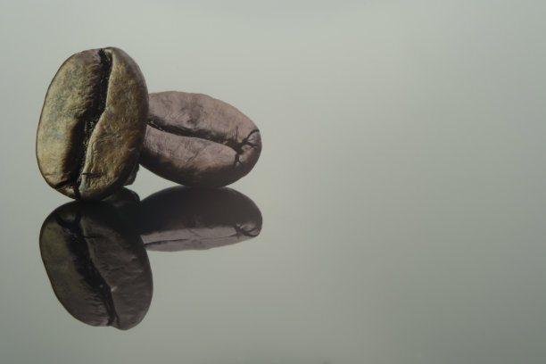 切割图片单对和谐咖啡豆烘焙与深棕色的颜色纹理孤立在闪亮的黑白背景反射，哥伦比亚质量巨大的颗粒饮料咖啡能量饮料图片下载