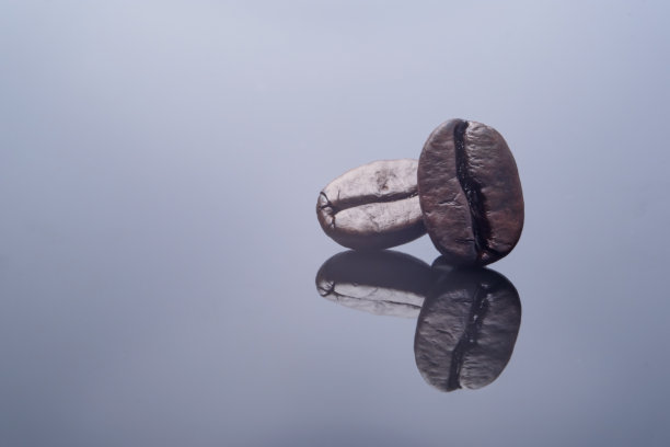 切割图片单对和谐咖啡豆烘焙与深棕色的颜色纹理孤立在闪亮的黑白背景反射，哥伦比亚质量巨大的颗粒饮料咖啡能量饮料图片下载