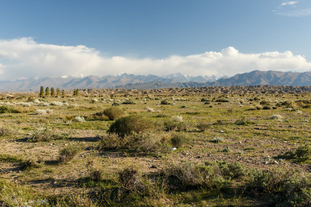 山上的牧场图片下载