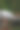 公园里出售的美味棉花糖，特写照片。图片下载