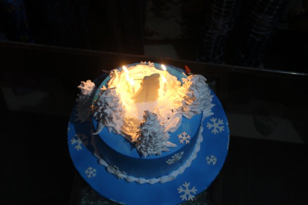 生日蛋糕图片下载