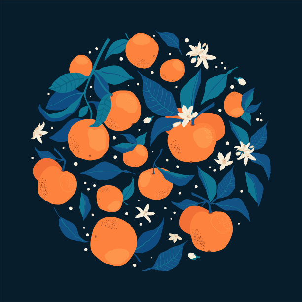圆形框架上的桔子和花在黑暗的背景在平风格。模板与柑橘水果为您的宣传册设计，横幅，标签。向量股票插图图片下载