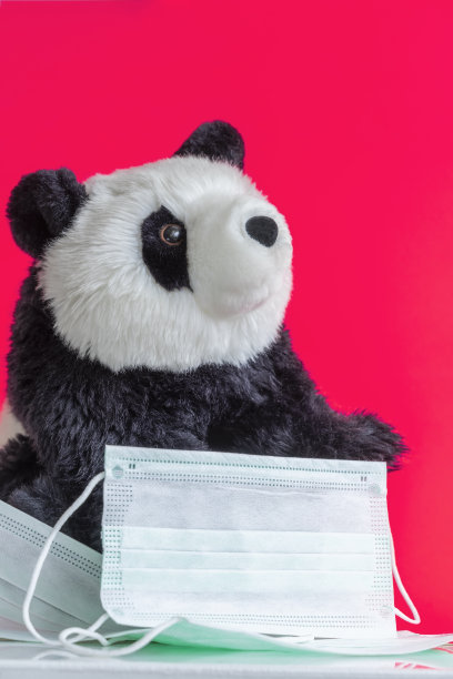 戴着一次性无菌防护口罩的玩具熊猫：医疗保健、传染病预防与保护图片下载