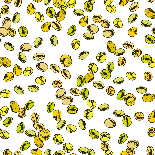 豆类作物的无缝模式图片下载