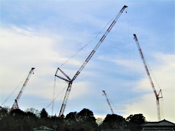 2月。日本。蓝天和起重机的家庭。团聚。图片下载