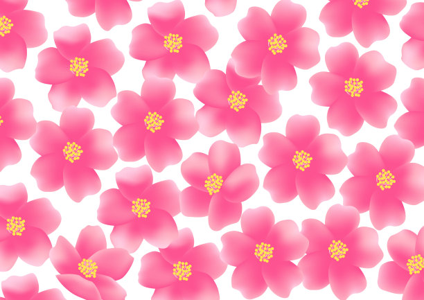 樱花插图图片下载