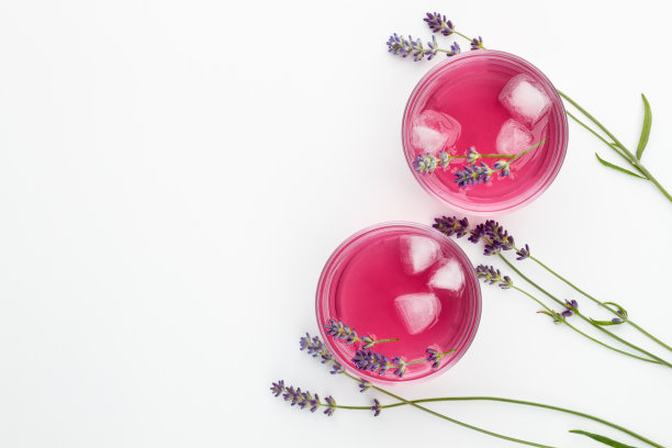 淡紫色柠檬水，淡紫色的树枝和白色背景上的冰图片下载