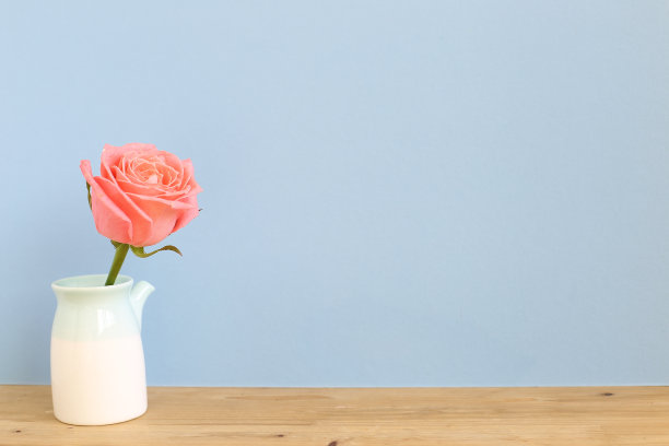 淡蓝色背景的木桌上放着粉红色的玫瑰。本空间图片下载