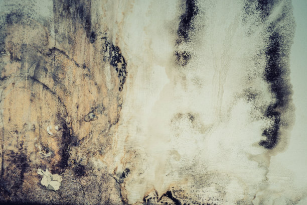 霉菌墙的特写图片下载