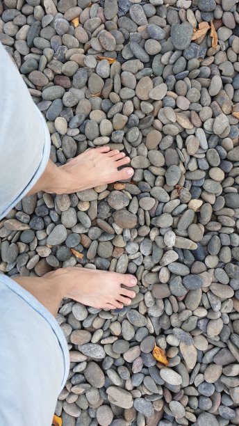 石头地板上图片下载