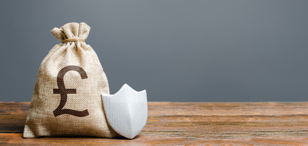 英镑钱袋和金属盾牌。有保障的保护外商投资的经济。有吸引力的商业环境，法治，有保障的私人资本。做生意的便利性图片下载