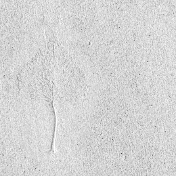 一片叶子夹在自制的纸里图片下载