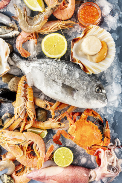 多种鱼类和海鲜食材：新鲜鲷鱼、扇贝、虾、螃蟹和鱿鱼等海鲜图片下载