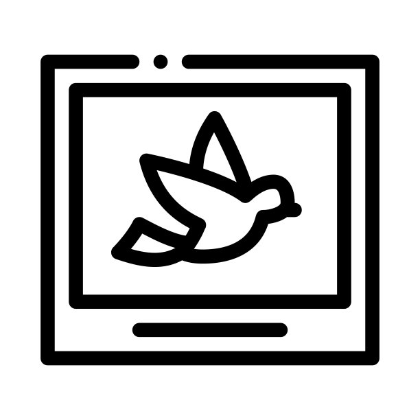鸟图片或照片卡图标细线矢量图片下载