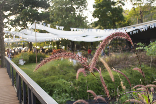 泰国人和外国游客在户外步行旅行和购物图片下载