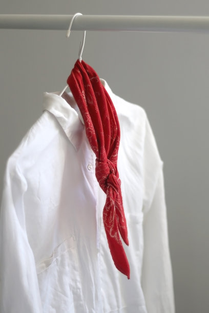 衬衫和大手帕图片下载