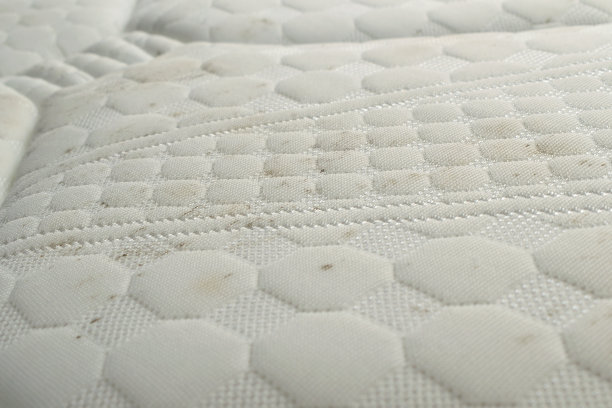 床垫发霉。图片下载