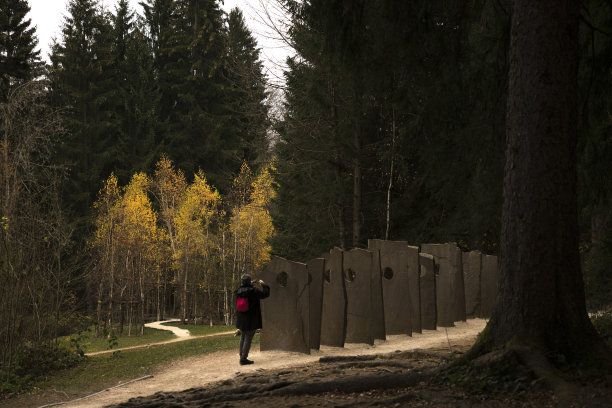 木艺术图片下载
