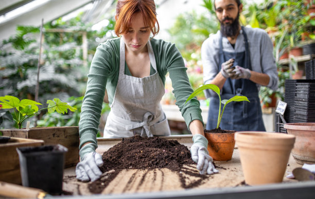 两个人在植物园移植幼苗图片下载