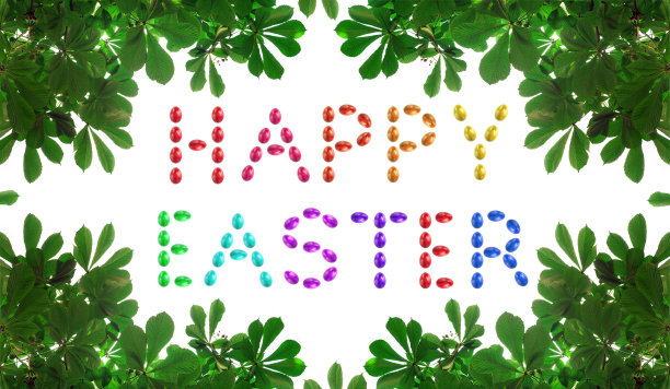 树的自然框架，绿叶纹理，空旷的空间图片下载