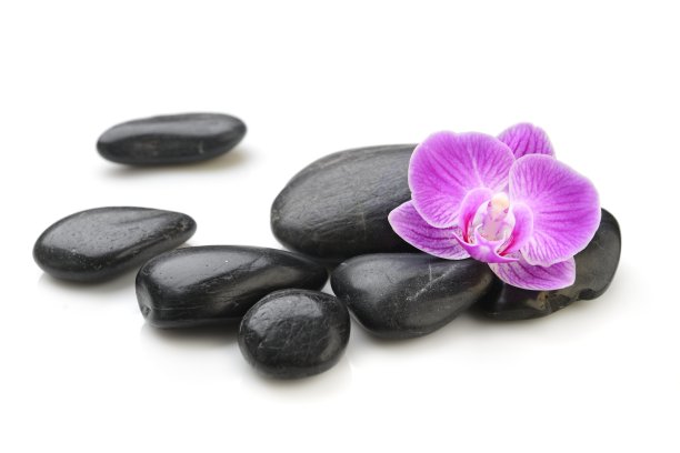 黑色的石头，白色的花朵图片下载