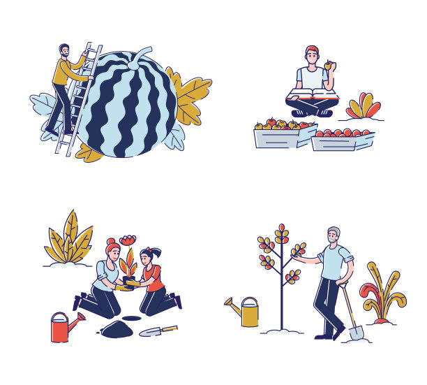 收集收获活动概念。男人和女人在农场一起工作，种植植物，在花园里采摘水果。一套卡通线性轮廓平面矢量插图图片下载