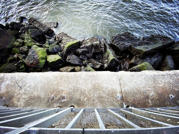 在水边图片下载