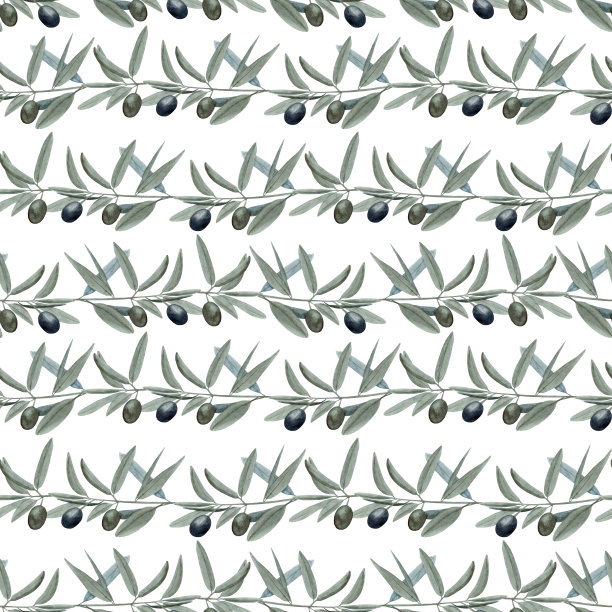 水彩无缝模式与橄榄枝和水果像条纹时尚单色土色色调孤立在白色背景。图片下载