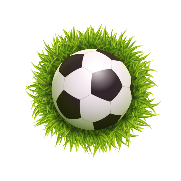 球俯视图图片下载