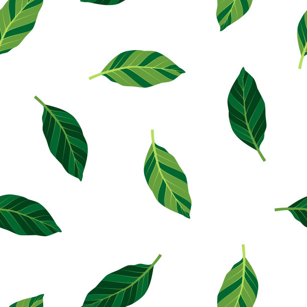夏天的无缝图案与树叶。矢量插图。图片下载