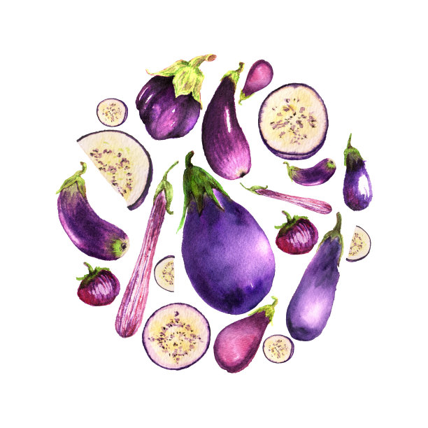 茄子的水彩画分割无缝图案图片下载