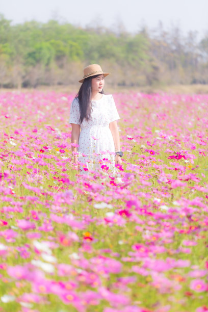全景式的年轻女士在白色的连衣裙走在粉红色的花田草地在农村与平面设计的复制空间图片下载