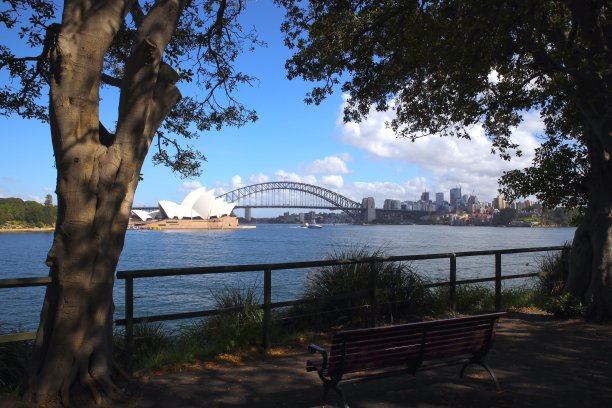 从植物园看近岸悉尼港图片下载