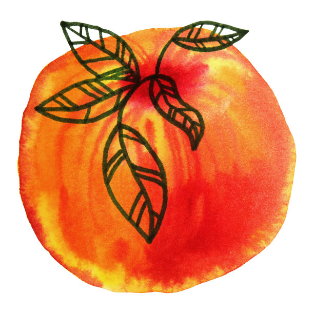 水彩和标记橙色和黄色的苹果与叶子孤立在白色的背景天真的艺术图片下载