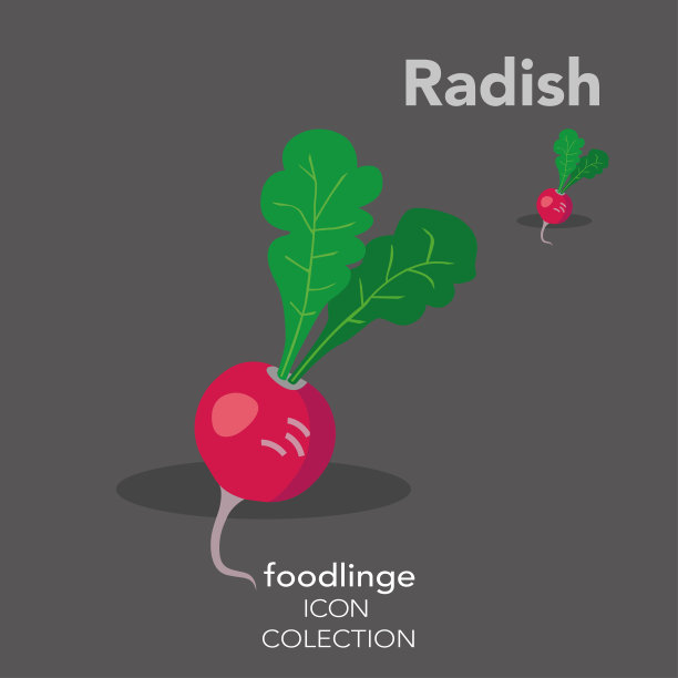 彩色蔬菜图标的插图萝卜图片下载