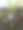 混合植物图片下载